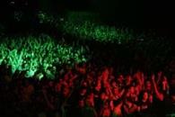 One Year Anniversary of DanylkoWeb: What's Next? One Year Anniversary of DanylkoWeb: What's Next?