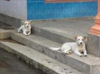 ASP.NET MVC Model: Make a BaseViewModel for your Layouts ASP.NET MVC Model: Make a BaseViewModel for your Layouts